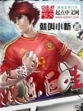 足球之娱乐巨星小说