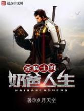 圣骑士的奶爸人生小说