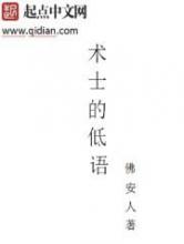 术士的低语小说