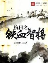 抗日之铁血智将小说