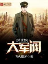 异世界大军阀小说