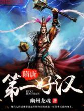 隋唐第一好汉小说