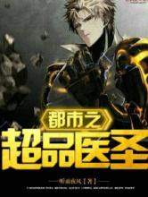 都市之超品医圣小说