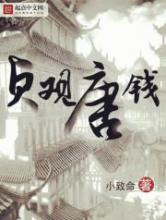 贞观唐钱小说