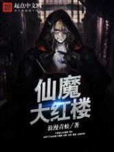 仙魔大红楼小说