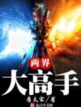 两界大高手小说