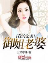 我的完美御姐老婆小说