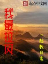我最拉风小说