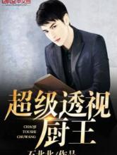 超级透视厨王小说
