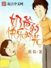 奶爸的快乐时光小说