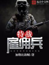 特战雇佣兵小说