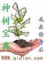 神树宝典小说