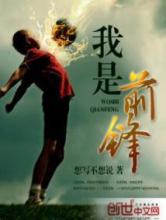 我是前锋小说