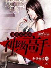 极品总裁的神级高手小说