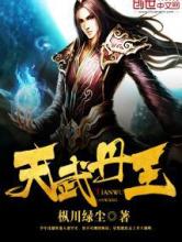 天武丹王小说