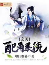 完美配角系统小说