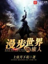 漫步世界的旅人小说