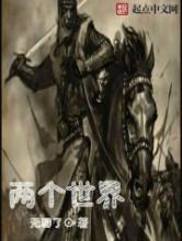 二个世界小说