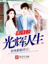 重生之光辉人生小说