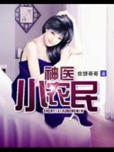 神医小农民小说