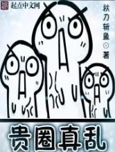 贵圈真乱小说
