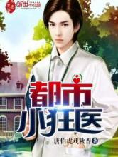 都市小狂医小说