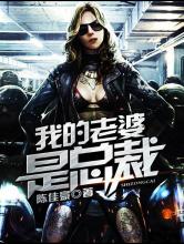 我的老婆是总裁小说