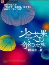 少年戈果的奇幻之旅小说