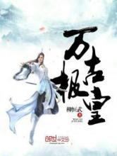 万古极皇小说