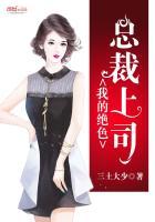 我的绝色总裁上司小说