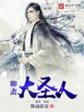 聊斋大圣人小说