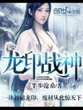 龙印战神小说