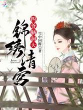 锦绣清宫：四爷，脑洞大小说