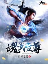 魂武至尊小说