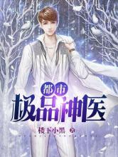 都市极品神医小说