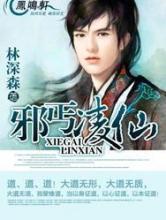 邪丐凌仙小说