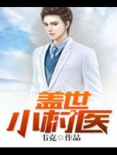 盖世小村医小说