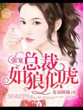 强宠：总裁如狼似虎小说