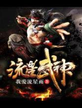 流星武神小说