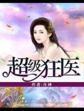 超级狂医小说
