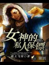 女神的私人保镖小说