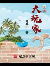 自然大玩家小说