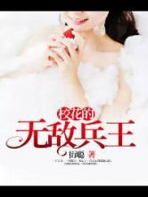 校花的无敌兵王小说