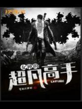 女神的超凡高手小说