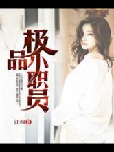 极品小职员小说