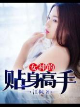 女神的贴身高手小说