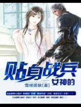 女神的贴身战兵小说