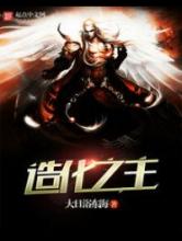 造化之主小说