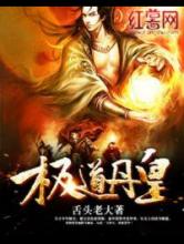 极道丹皇小说