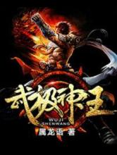 武极神王小说
